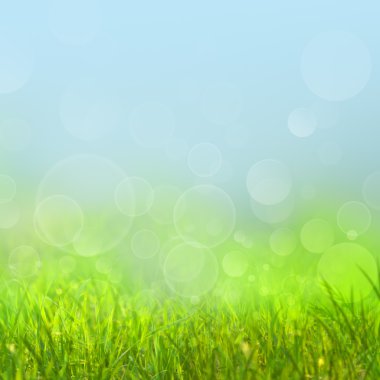tasarımınız için güzellik bokeh ile doğal arka