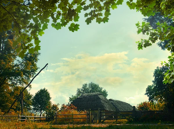 Otoño en el pueblo. Paisaje rural natural para su diseño —  Fotos de Stock