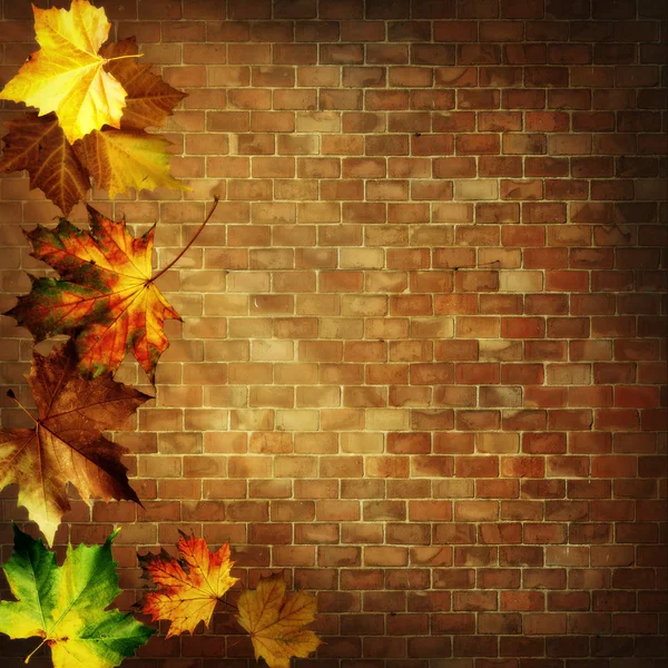 Streszczenie tło jesienny przeciwko starym cement — Zdjęcie stockowe