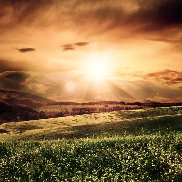 Summer morning on the meadow — Stock Photo, Image