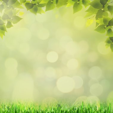 tasarımınız için güzellik bokeh ile doğal arka