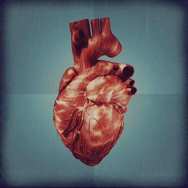 Human heart vintage blueprint. — Stock Photo, Image