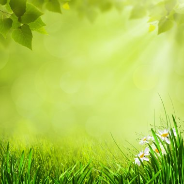 tasarımınız için yaz doğal arka planlar