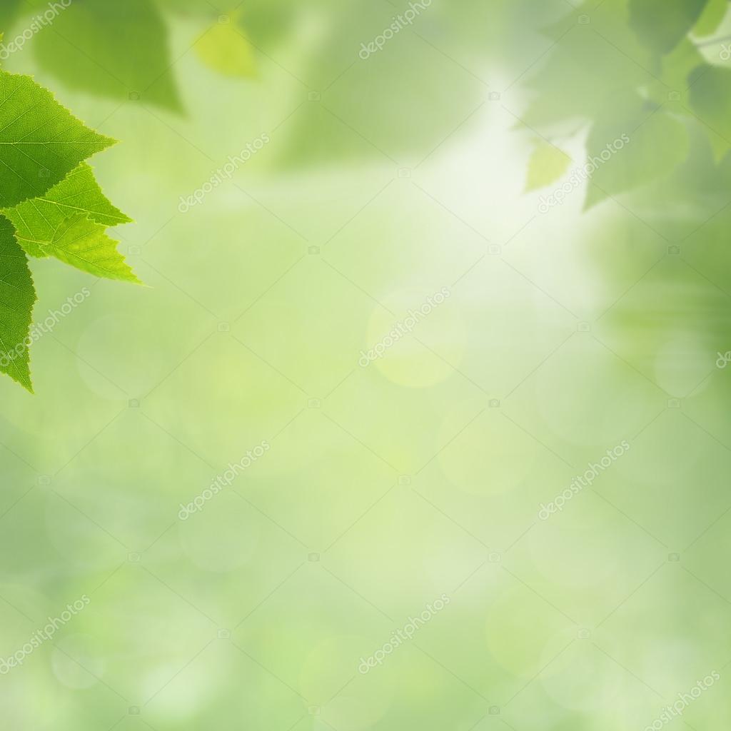 Summer natural backgrounds for your design Stock Photo by ©tolokonov ...