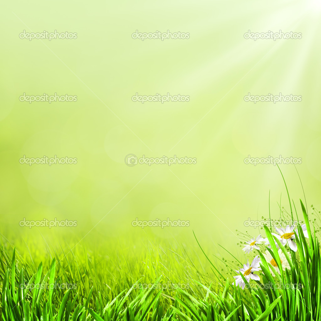 Nature Background Design Images Hd - lovinbeautystuff