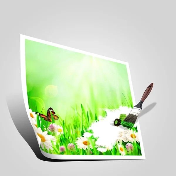 Красивый весенний фон с ромашками — стоковое фото