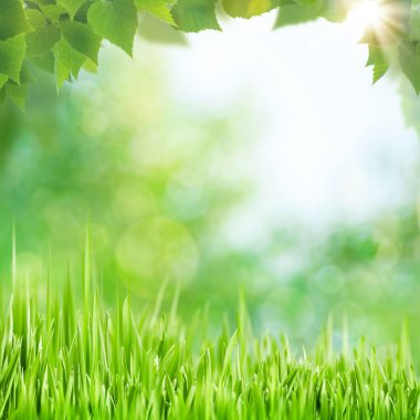 Güzellik bokeh ile soyut doğal arka plan