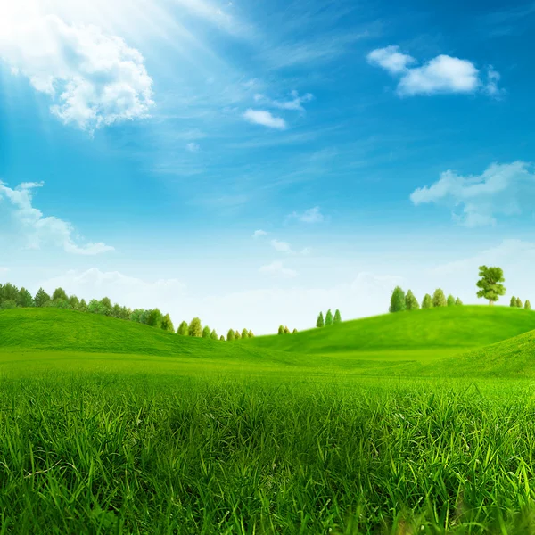 Beauty summer day on the green hills — Stock Photo, Image