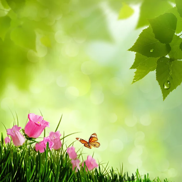 Skönhet blommor. abstrakt naturliga bakgrunder — Stockfoto