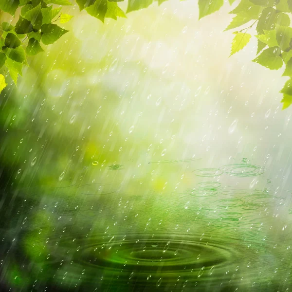 Summer rain. Abstract natural backgrounds — Stock Photo, Image