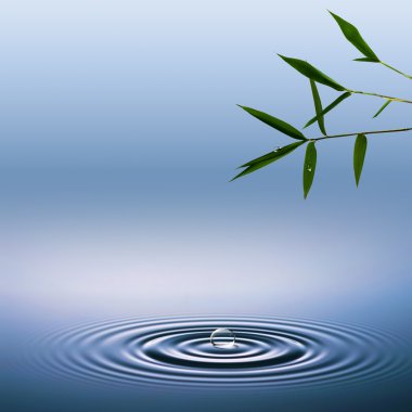 Abstract environmental backgrounds with bamboo and water droplet clipart