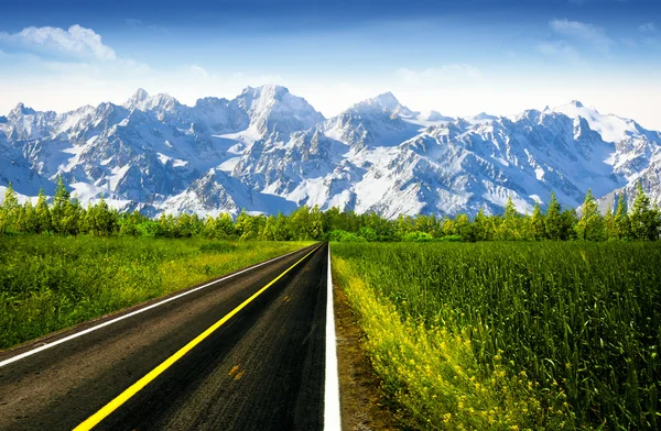 Infinity, çevresel arka