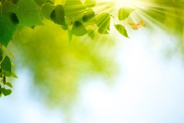 Güzellik yaz günü. çevre arka, d için