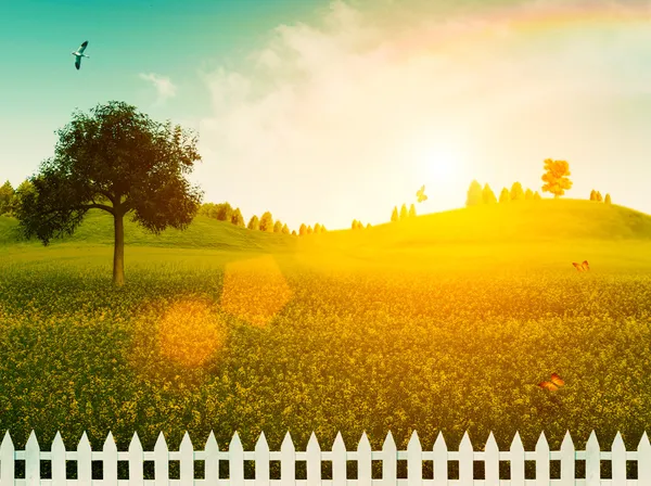 White fence on the meadow. Summer landscape — Zdjęcie stockowe