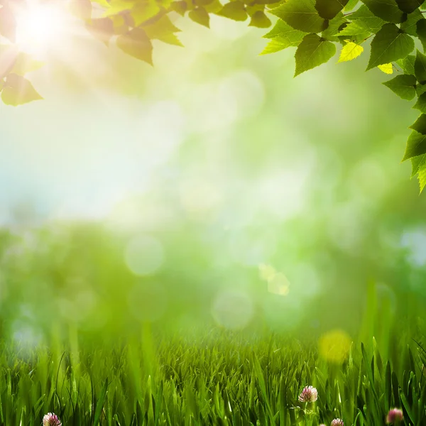 Streszczenie naturalne tła z bokeh piękna — Zdjęcie stockowe