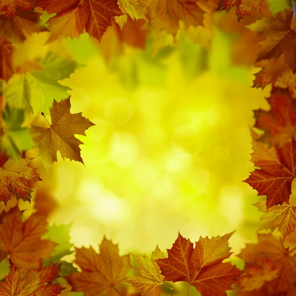 Abstraktní podzimní pozadí pro váš design — Stock fotografie