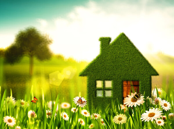 Зеленый дом. Абстрактные экологические условия
