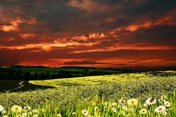 Dramatischer Sonnenuntergang über hügeliger Wiese, ökologische Hintergründe — Stockfoto