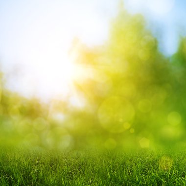 Güzellik bokeh ile soyut doğal arka plan