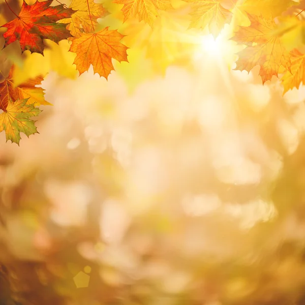 Abstraktní podzimní pozadí — Stock fotografie