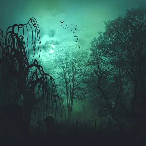 Haunted forest Stock Photos, Royalty Free Haunted forest Images |  Depositphotos