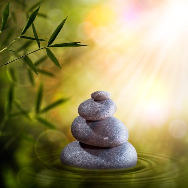 zen arka