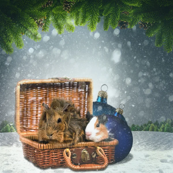 재미 있는 동물을 가진 추상 겨울과 크리스마스 배경 — 스톡 사진