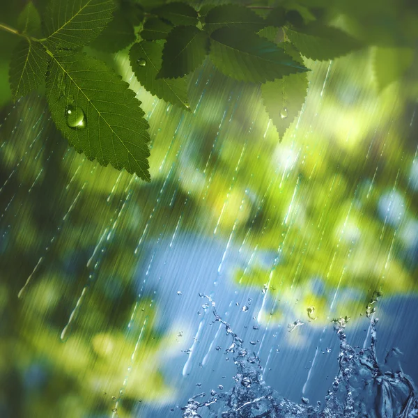 Summer rain, abstract seasonal background for your design — Stock Photo, Image