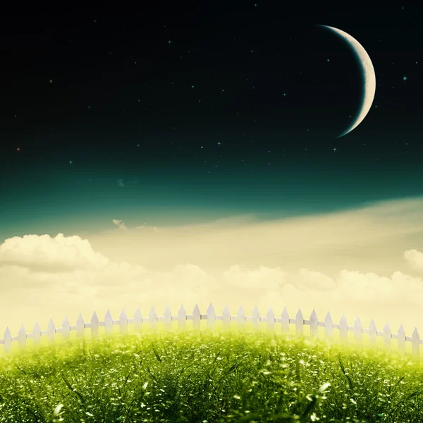 Noite estrelada no prado de beleza — Fotografia de Stock