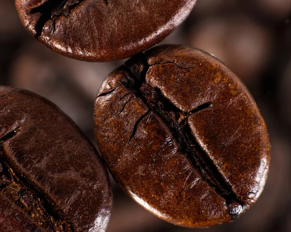 Cofee beans against blurred abstract background — Stock Photo, Image