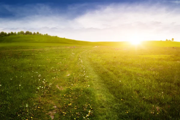 Schönheitsabend auf der Wiese mit Feldweg — Stockfoto