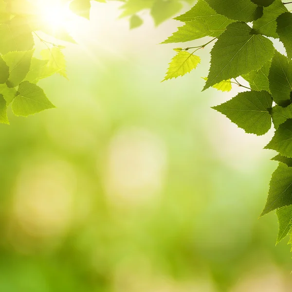 Abstract environmental backgrounds — Stock Photo, Image