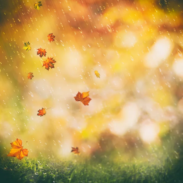 Octubre fondo de lluvia —  Fotos de Stock