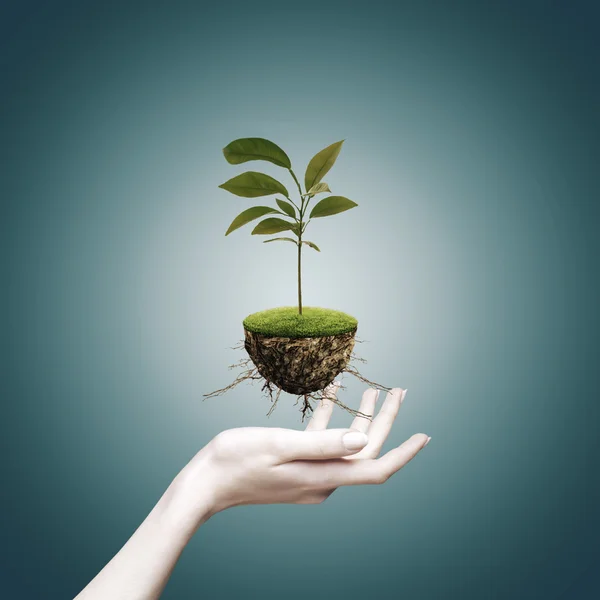 Eco background — Stock Photo, Image