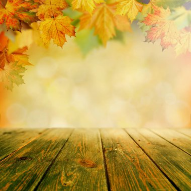 Güzel yaprakları ve renkleri olan soyut sonbahar arkaplanları