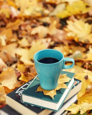 Uzak Kütüphane. Çevrimiçi salgın kişisel eğitim kavramı