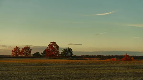 Landwirtschaftliche Hintergründe Bäuerliches Feld Nach Der Ernte Sonnenuntergang Über Der — Stockfoto