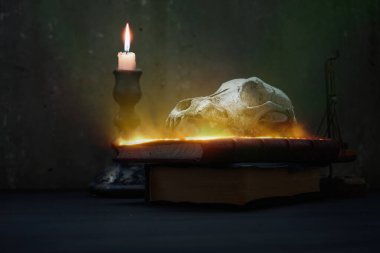 Simyacı ve sihirbazın evinde. Sihirli Cadılar Bayramı