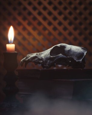 Simyacı ve sihirbazın evinde. Sihirli Cadılar Bayramı