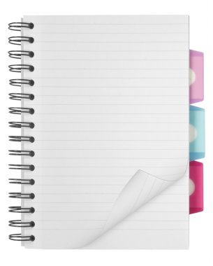 dizüstü bilgisayar