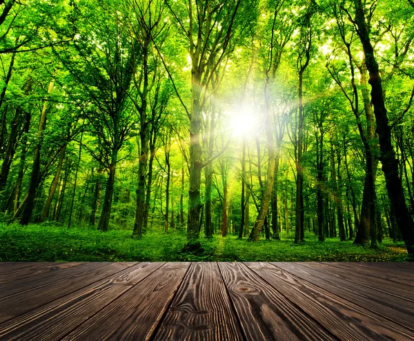 Holz strukturiert — Stockfoto