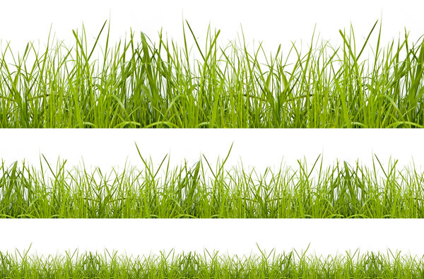 grass