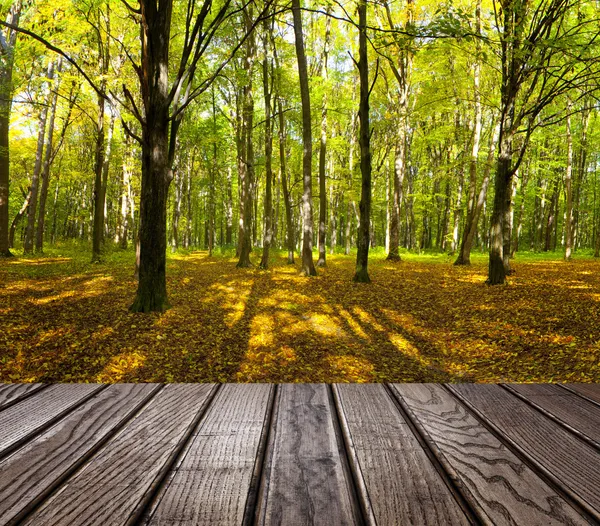 Drewno teksturowanej tło we wnętrzu pokoju na tle lasu — Zdjęcie stockowe