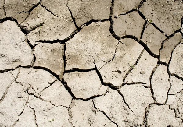 Cracked soil after flood — Stock Photo, Image