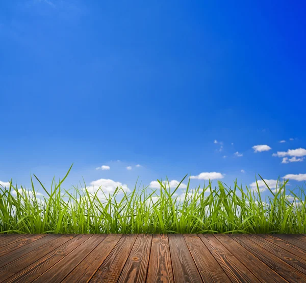 Wood texture — Stock Photo, Image