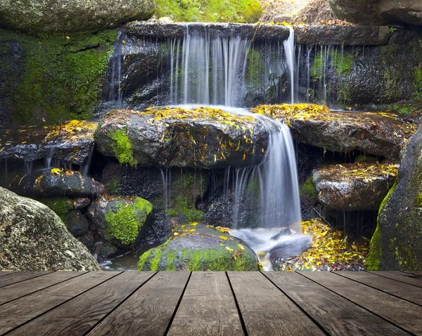 Parque — Foto de Stock