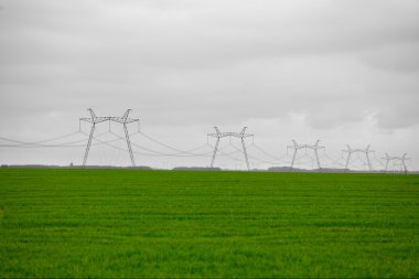 çim alan. elektrik hatları üzerinde gökyüzü altında yeşil çayır