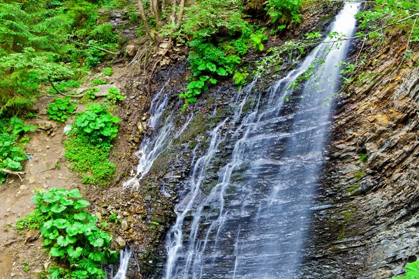 Waterfall — Stock Photo, Image