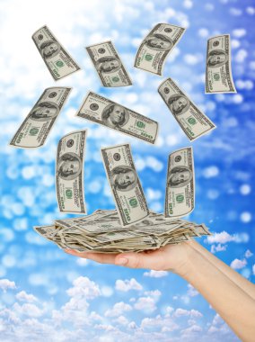 El dolar tutar.