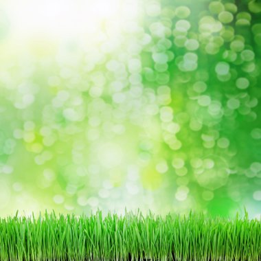 Yeşil çimenlerin üzerinde yeşil arka planlar